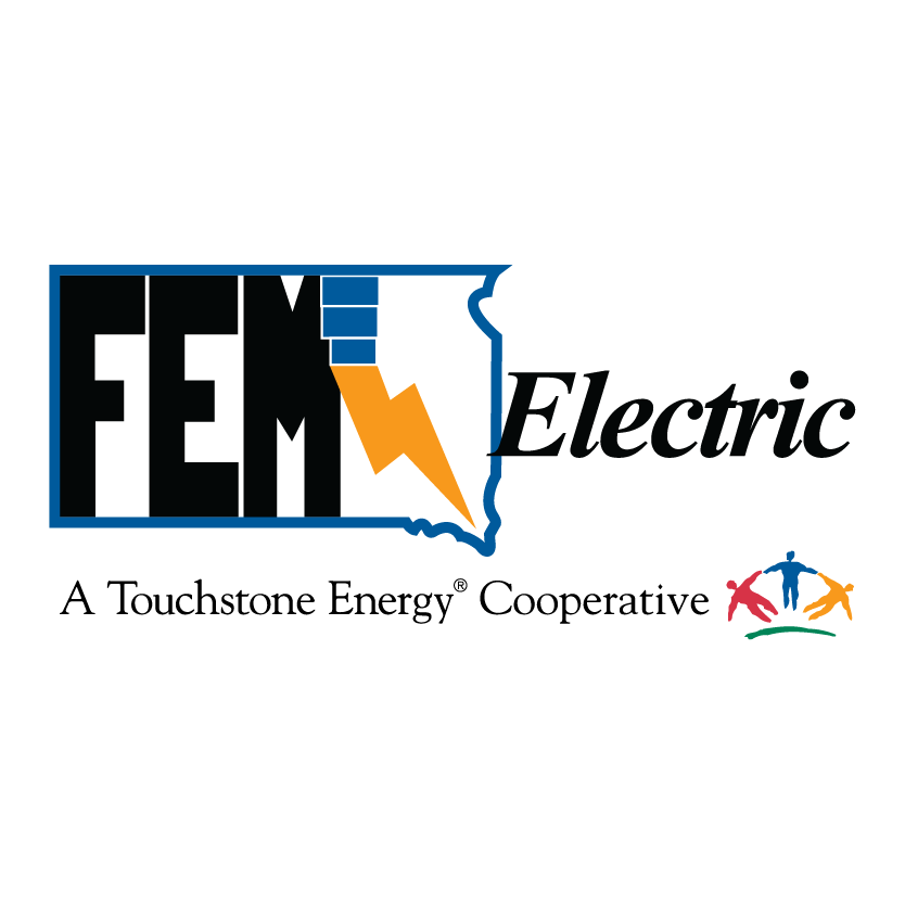 FEM Electric_Logo