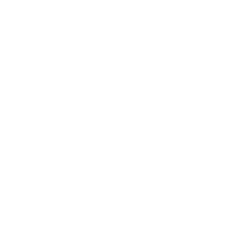 Person On Computer_Icon